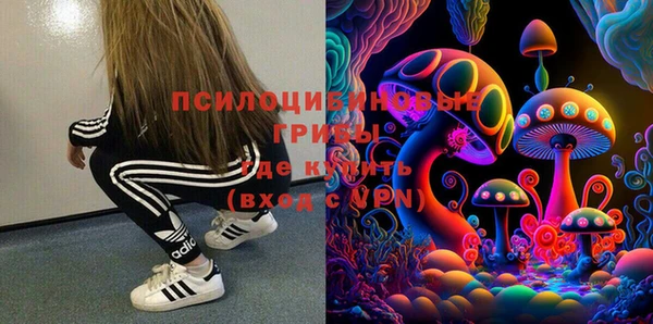 первитин Бородино