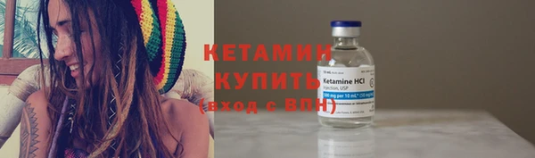 шишки Богородицк