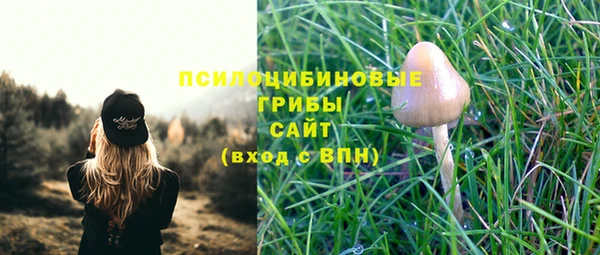 шишки Богородицк