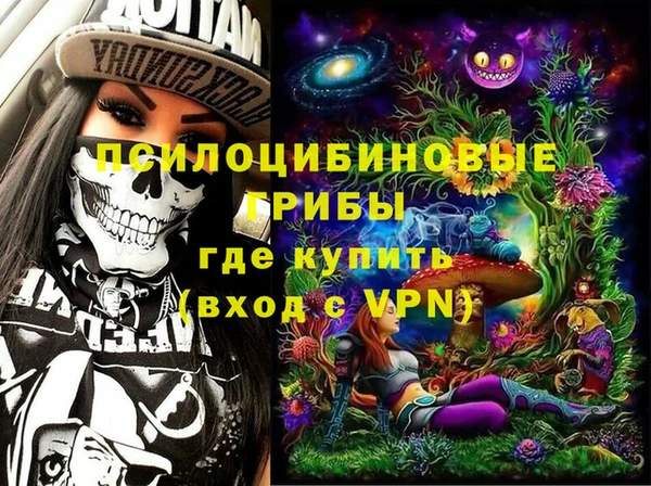 стафф Богородск