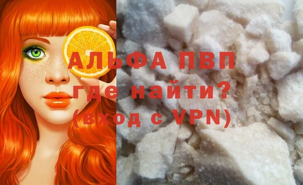 стафф Богородск