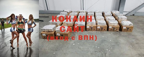 шишки Богородицк