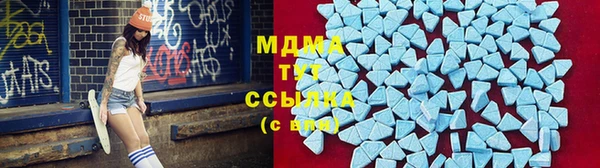 шишки Богородицк