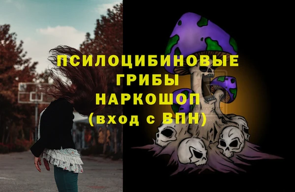 мяу мяу кристалл Богданович