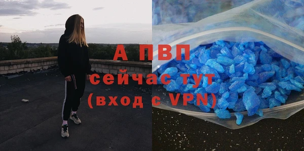 шишки Богородицк