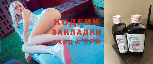 прущие грибы Бугульма